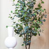 Kunstplant - Eucalyptus - Blauwe Gomboom  - 180 cm