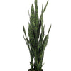 Kunstplant - Sanseveria black coral - Vrouwentong - 97 cm