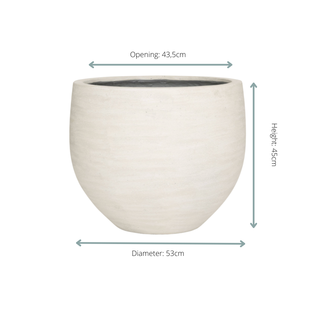 Jumbo Orb Ivory Washed - D53xH45