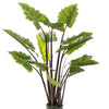 Kunstplant - Colocasia Pink China - Olifantsoor - 130 cm