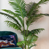 Kunstplant - Howea Forsteriana  - 160 cm