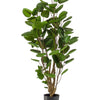 Kunstplant - Polyscias - Aralia - 105 cm