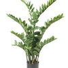Kunstplant - Zamioculcas - Kamerpalm - 110 cm