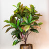 Kunstplant - Croton Codiaeum - Wonderstruik - 120 cm