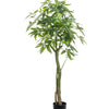 Kunstplant - Pachira Aquatica - Geldboom - 150 cm