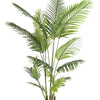 Kunstplant - Howea Forsteriana  - 160 cm